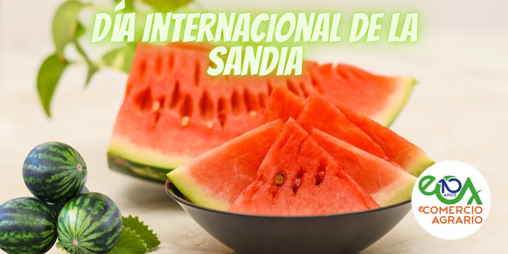 eComercioAgr's tweet image. 🍉🍉Hoy celebramos el #DíaInternacionaldelaSandía y lo hacemos presumiendo de ella, de los agricultores que la cultivan y la calidad que ofrecen.💪💪

Además somos el primer país europeo en iniciar la temporada de sandía en el Viejo Continente. 

#Sabor #Calidad #Agricultura
