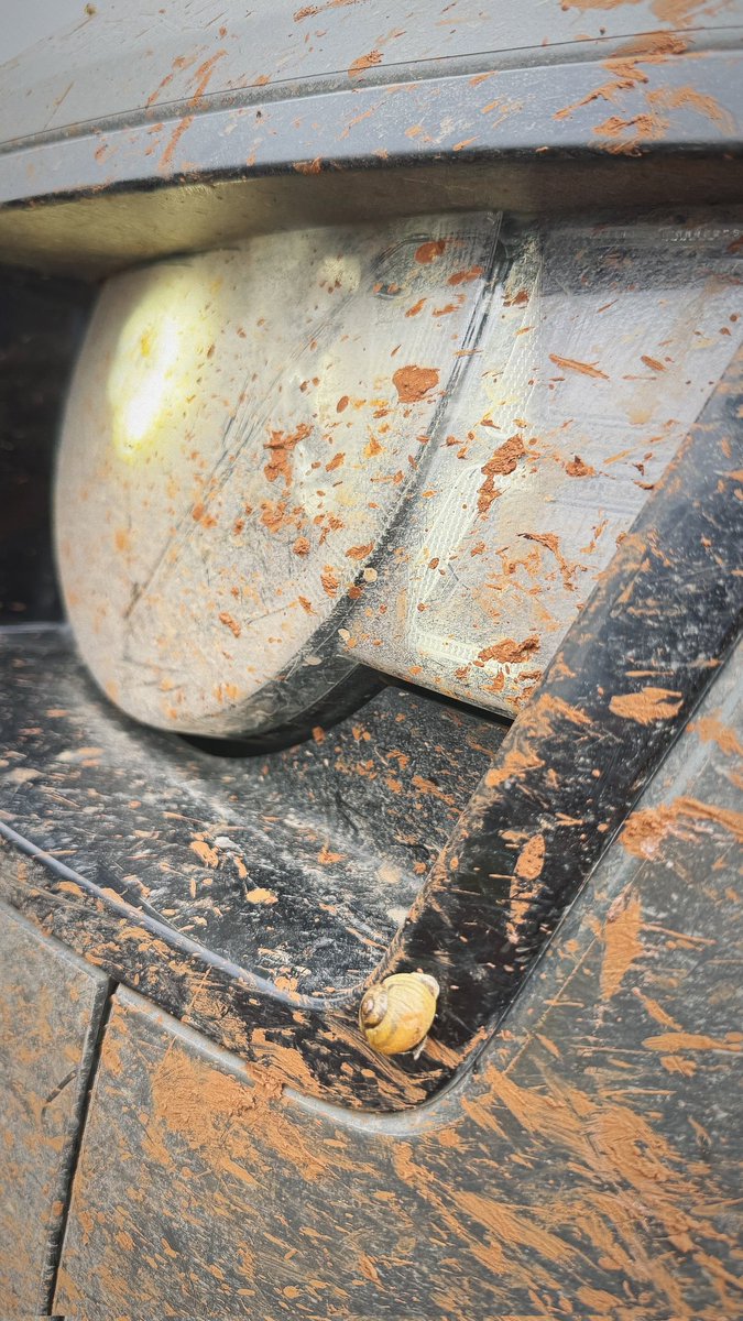 Nayu__TejRan's tweet photo. Not so slow any more. the Snail also loves the mad
V8 #DefenderOcta 🚙
____________
#TejasswiPrakash #KaranKundrra #TejRan https://t.co/dsgGcMpUpM