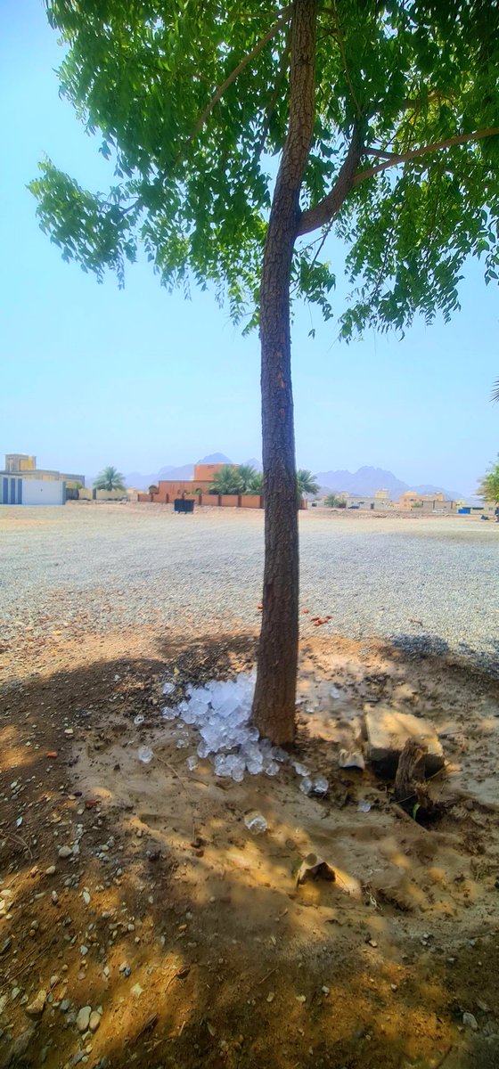 تَلَظّى فوقَها الصيفُ اشتِعالًا
فغاضَ الظلُّ وانقطعَ النّسيمُ

فجاءَ الثلجُ يُطفئُ نارَ جَوفٍ
كأنَّ البَردَ فيضٌ من رحيمُ ✍️