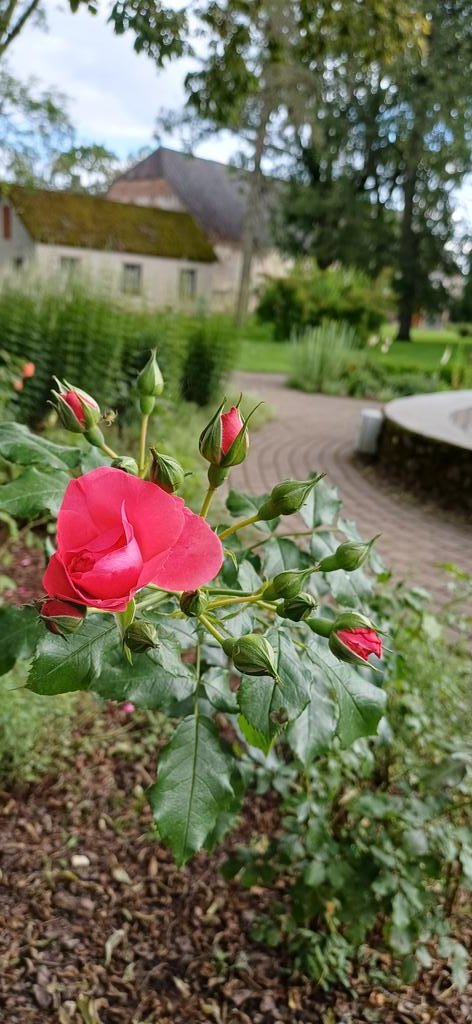 Good morning. 
Have a nice day