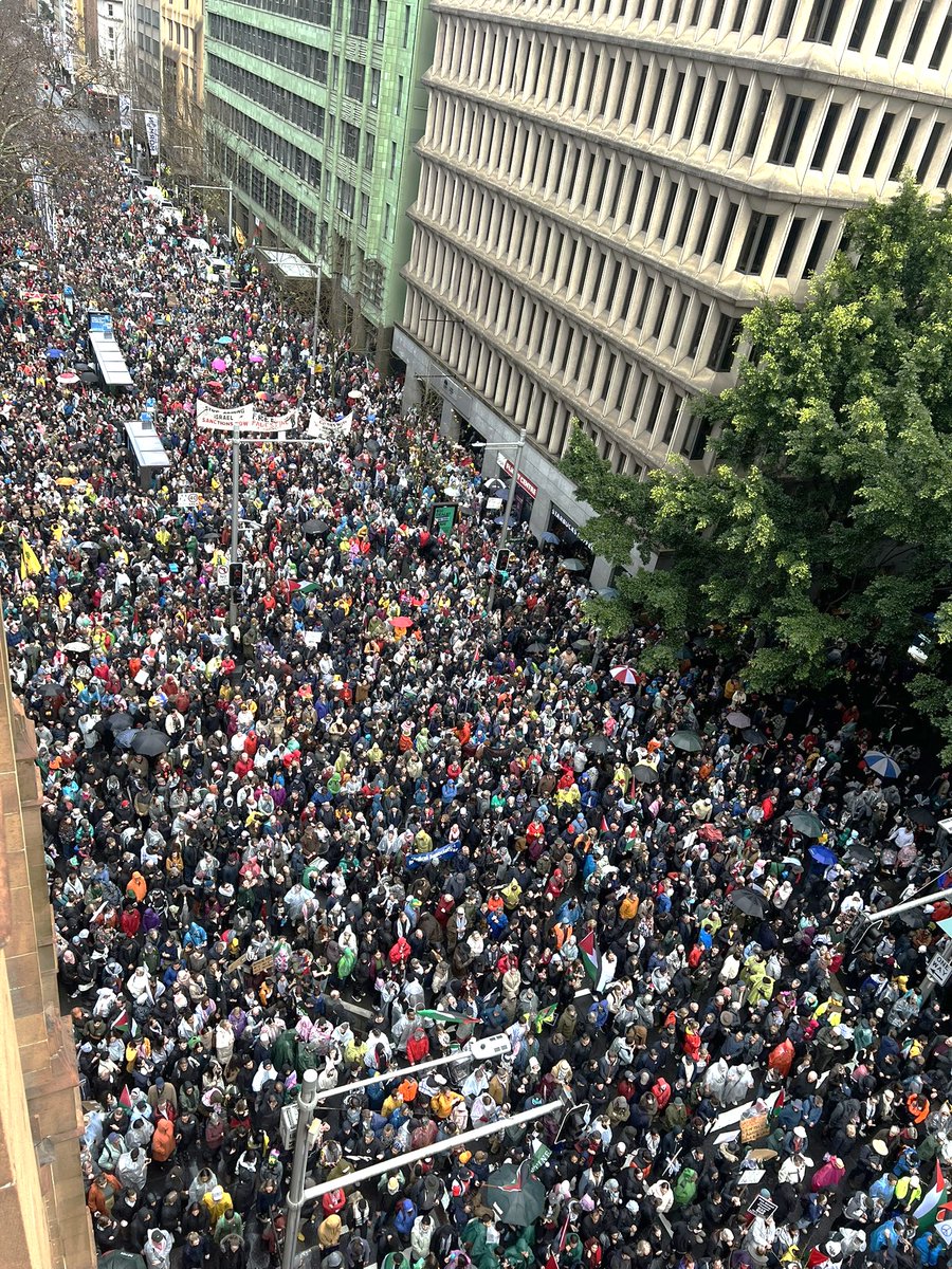 AlanRMacLeod's tweet image. Incredible scenes right now in Sydney 🇦🇺, as hundreds of thousands people brave the terrible weather to call for an end to the genocide in Gaza 🇵🇸.

They've shut down Sydney Harbour Bridge!