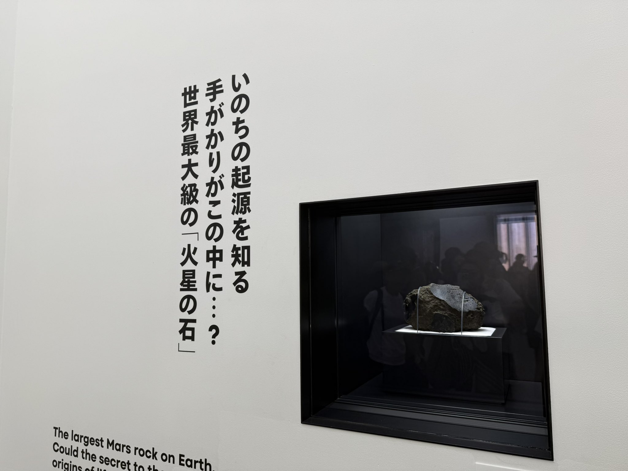 きのう、火星に行った。　除籍本 きのう、火星に行った。 除籍本 きのう、火星に行った。 除籍本