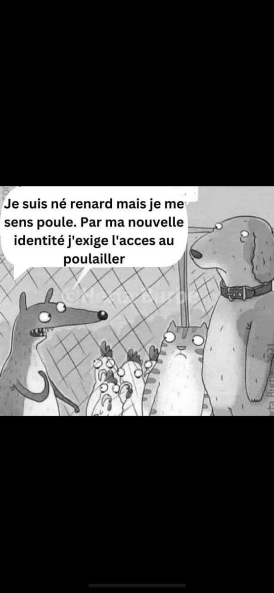 🇫🇷Jacques Clostermann (@jaclostermann) on Twitter photo 