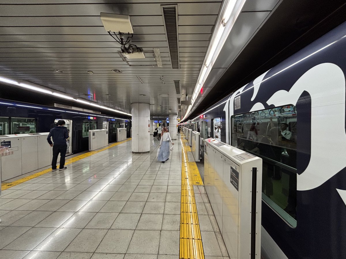 ←相鉄車　　L-train→
あまりに似過ぎてて草