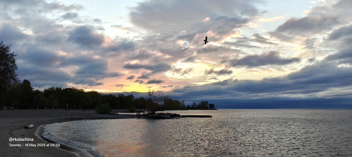 #theme_pic_world_panorama