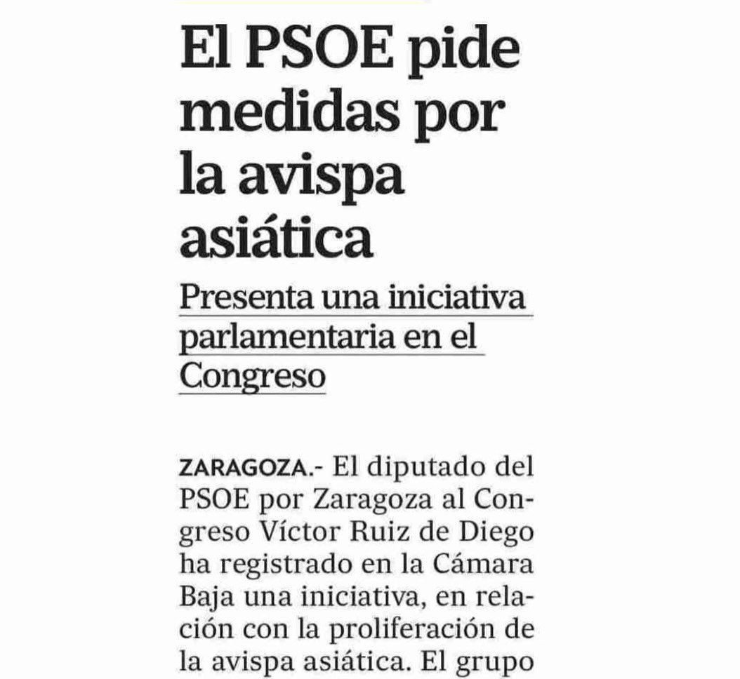 RuizdeDiego3000's tweet photo. 🏛️ Una muestra de mi trabajo en el @Congreso_Es como miembro del @gpscongreso 
🐝 PNL en relación con la expansión de la avispa asiática.
#AvispaAsiatica https://t.co/YZGbagNaRR