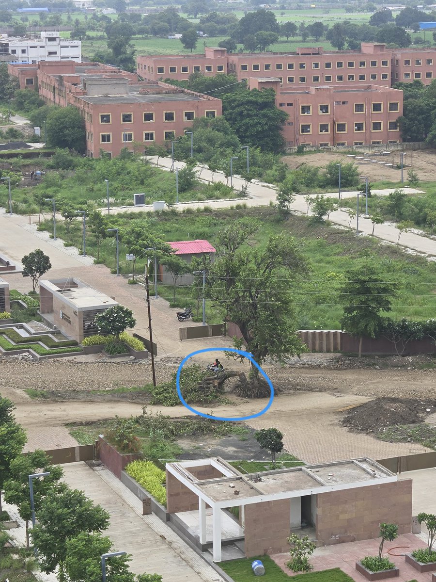 swaym's tweet photo. @pwdminmp Curious to know, as part of Road construction, isn't tree-transplant/ shifting included?
I see all Many Trees have been CUT along Talawali Chanda-Arandia road. Ward 36! 
any response is appreciated. Thanks! @CMMadhyaPradesh @CPWDGOV @181cmhelpline https://t.co/5RfUGQlYvZ