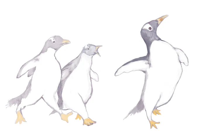 ジェンツーペンギン親子 #動物イラスト
