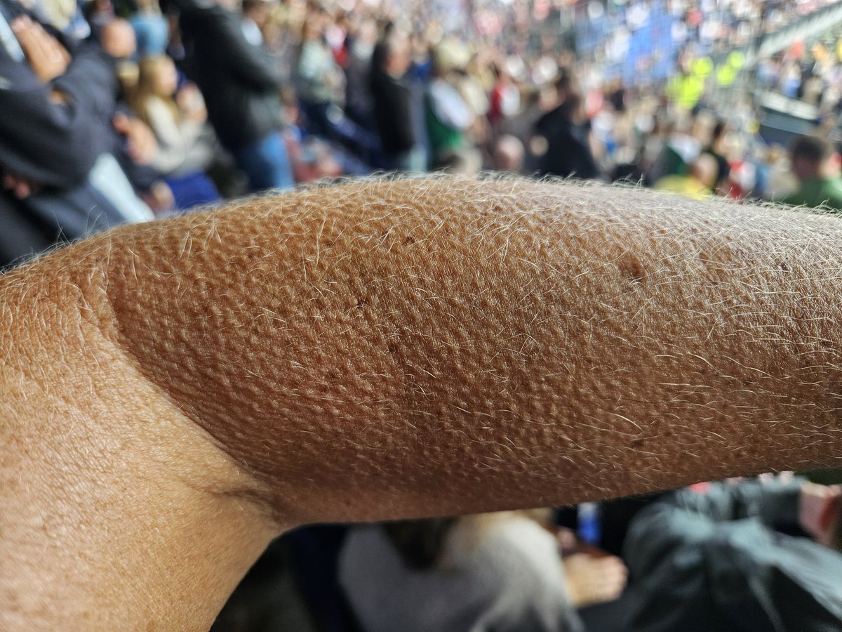 Hélène (@helenmeulstee) on Twitter photo Dit is wat de Kuip met je doet.. ook na dik 30 jaar! #Dikkekippenvel ❤️🤍 <a href="/Feyenoord/">Feyenoord Rotterdam</a> Dit is wat de Kuip met je doet.. ook na dik 30 jaar! #Dikkekippenvel ❤️🤍 <a href="/Feyenoord/">Feyenoord Rotterdam</a>