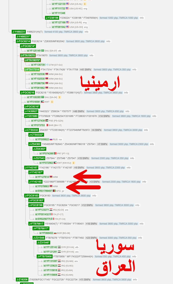 xxxasy2's tweet photo. 🔴🔴🔴 خطوط جديدة في الواي فل من ارمينيا تحت:

التحور J1-YSC0000076

تلك النتائج المضافة لمشجر الواي فل واتوقع ان هناك نتائج من نفس المنطقة لم تضاف في مشجر الواي فل
لا اتوقع ان لدي��م موروث سبأي انما اتوقع انهم سريان لألتقائهم بنتائج من سوريا والعراق ولبنان وبعضهم يلتقوا ايضاً برفات لبنان/بيروت