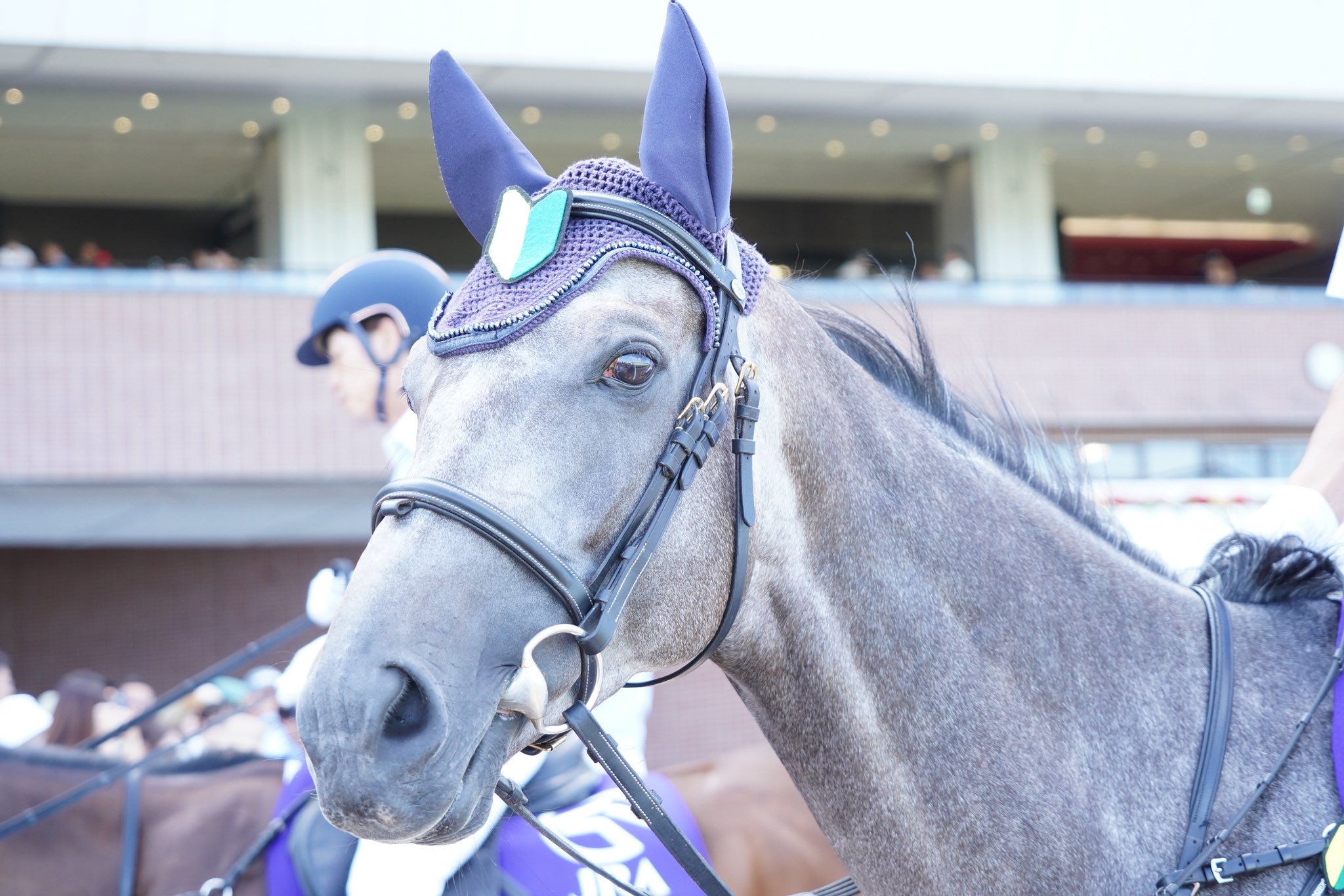 札幌競馬場100年史 札幌競馬場100年史 札幌競馬場100年史