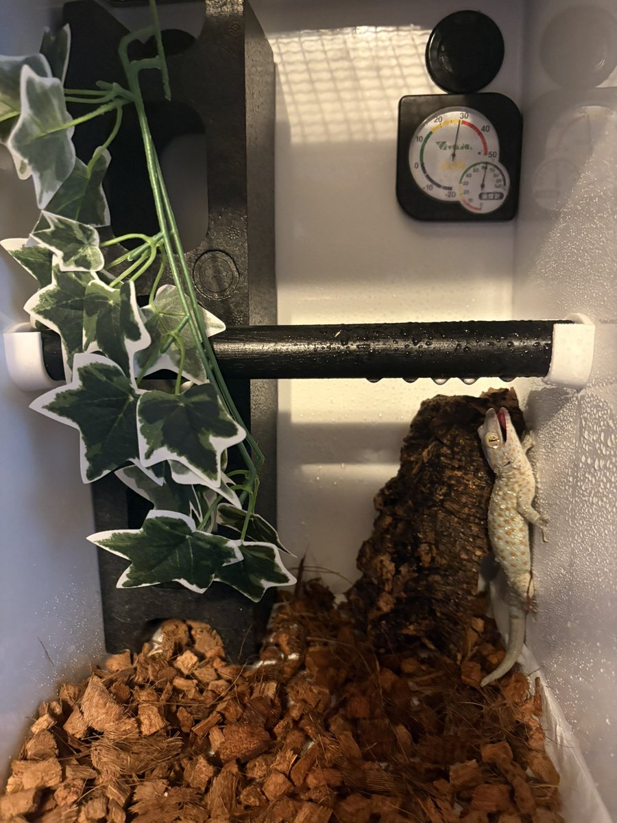 IkD アルミ複合板爬虫類オーダーケージ (@ikesime33) / Posts / X