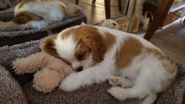 robin 🤍 tweet media