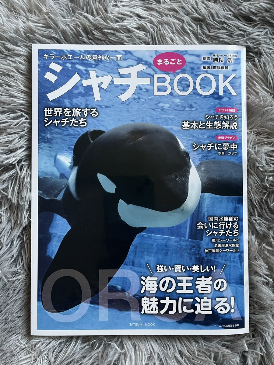 gon_no1's tweet photo. 今日は7月12日に注文したシャチBOOKのお届け予定日、ずっと心待ちにしていた日。
こんなことならこの日を待たんかったのに

アースを知って、片道4時間かかるのに名古屋港水族館の年パス買って、何回も会いにいった

ありがとうアース、どうか安らかに
オスカーたちとゆっくり休んでね https://t.co/Cs0PcI3Q9c