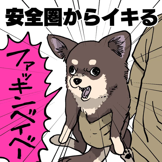 チワワあるある 
