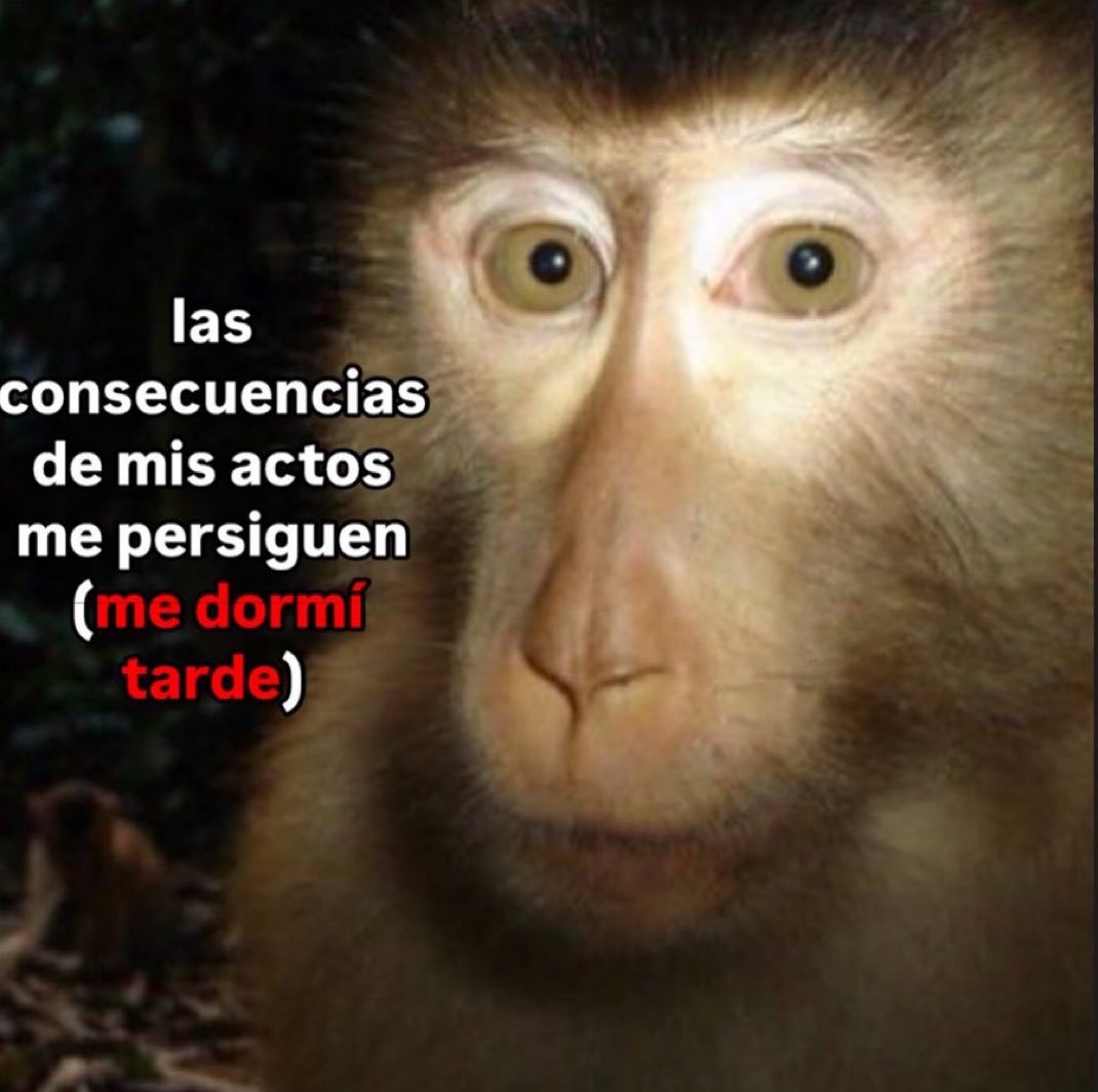 piña sin pizza (@skereunpesado) on Twitter photo 