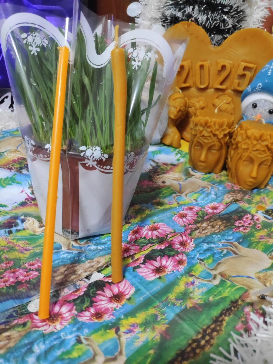 EkoloskiMed's tweet image. Парафинске свеће (танка, лево) фарбају се у жуто да би личиле на воштане свеће које праве пчеле. (танка, десно на фотографији) Могу се уочити по томе што најчешће немају мирис и што им је боја неприродно жута. #Sveće #Pčele #Imitacija #Original #Vosak #Parafin