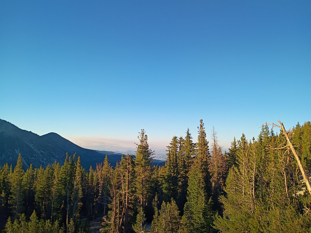 bigtex182's tweet photo. Took an accidental toad Trip to Tahoe today. That place is fucking magic. https://t.co/LEqDts0uUQ