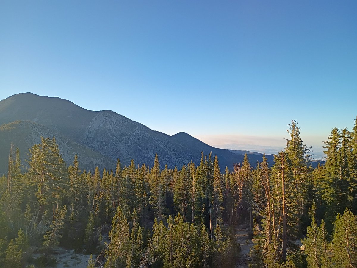 bigtex182's tweet photo. Took an accidental toad Trip to Tahoe today. That place is fucking magic. https://t.co/LEqDts0uUQ