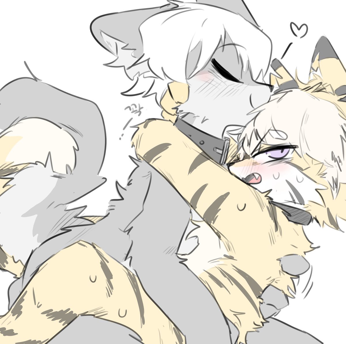 🐺❤️🐯