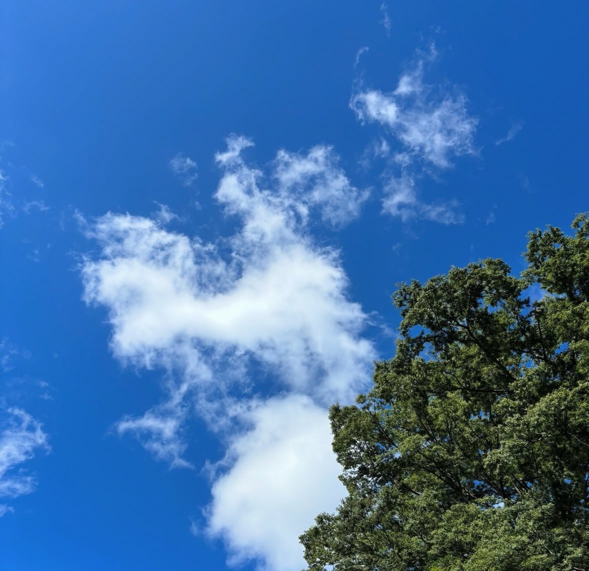 This97_day's tweet photo. 夏をたくさん感じられた2日間☀️ https://t.co/iBZUgHXE7h