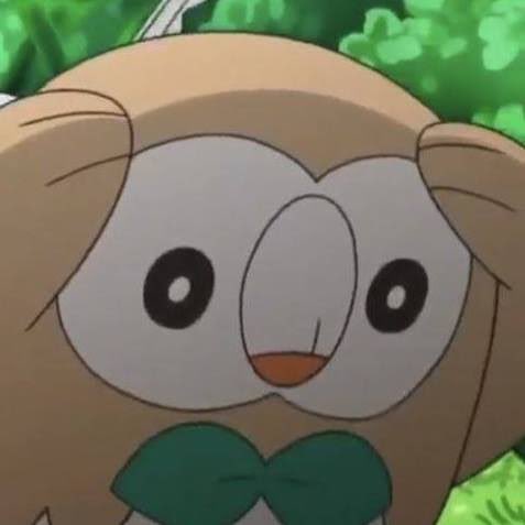 睡前想工作的事
起床後開始畫圖畫到現在
今晚有突發連動台
明天有日文考試

現在的我是木木梟型態