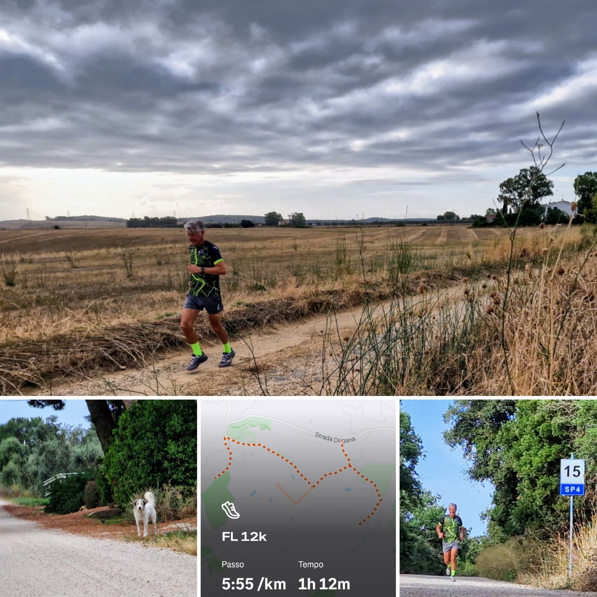 Fotografo terrorizzato dai cani, e allora si gira di qua e di là in saliscendi
Buona domenica nuvolosa e umida #runlovers