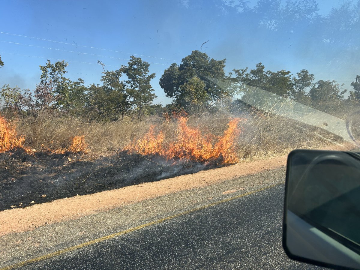 Clive Mitchell 💙 (@clivebgs) on Twitter photo Long journey (400km) back from Petauke to Lusaka, as well as rock samples there was 100kg of rice (from Malawi), 10 live chickens & a lot of dried fish! Will miss the #graphite team from <a href="/BritGeoSurvey/">British Geological Survey</a> <a href="/ZambiaMines/">Ministry of Mines and Minerals Development | GRZ</a> <a href="/CBU_ZM/">The Copperbelt University</a> - it was a fantastic trip. Until next time we meet! Long journey (400km) back from Petauke to Lusaka, as well as rock samples there was 100kg of rice (from Malawi), 10 live chickens & a lot of dried fish! Will miss the #graphite team from <a href="/BritGeoSurvey/">British Geological Survey</a> <a href="/ZambiaMines/">Ministry of Mines and Minerals Development | GRZ</a> <a href="/CBU_ZM/">The Copperbelt University</a> - it was a fantastic trip. Until next time we meet!