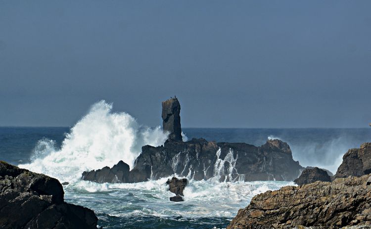 welovedonegal's tweet photo. @Dave59051004 @ThePhotoHour #Eeek https://t.co/aUEVPliOXm