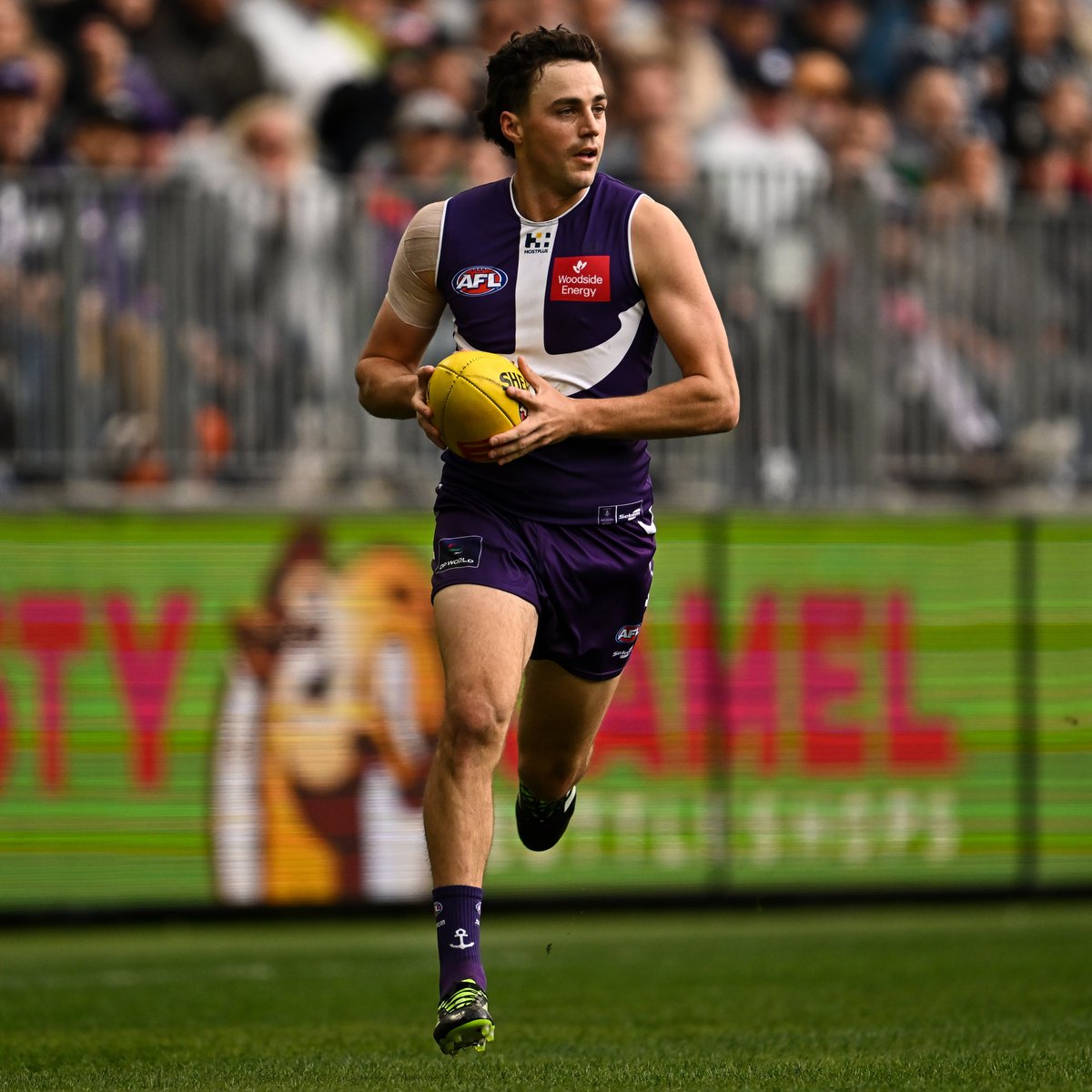freodockers's tweet photo. QT | slow start in wet &amp; windy conditions.

⚓️ 2.0 (12) 🔵 5.0 (30)

#foreverfreo #AFLFreoBlues https://t.co/tmAVu1WJUg
