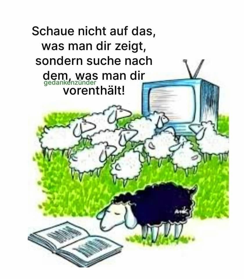 Schaut genau☝️lieber einmal mehr als zu wenig.