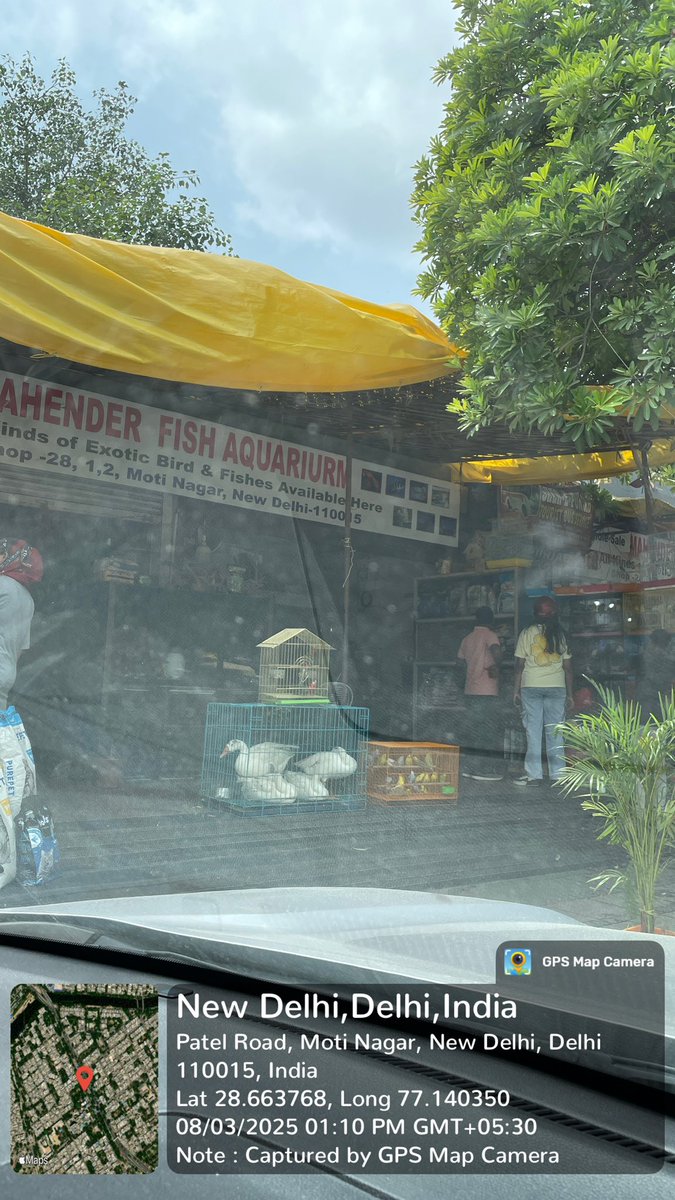 Zperkin's tweet photo. @DelhiPolice @moefcc @PetaIndia @wti_org_india @wii_india @WCSIndia @WCT_India @LtGovDelhi @NavbharatTimes is selling swans/ducks legal in Delhi? #earthquake #ENGvIND #shubhmangill #WildlifeProtection https://t.co/wA8C5ALU78