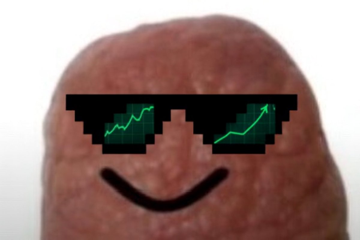 cook_dev_il's tweet image. $nip we all have one 

x.com/defiprincess_