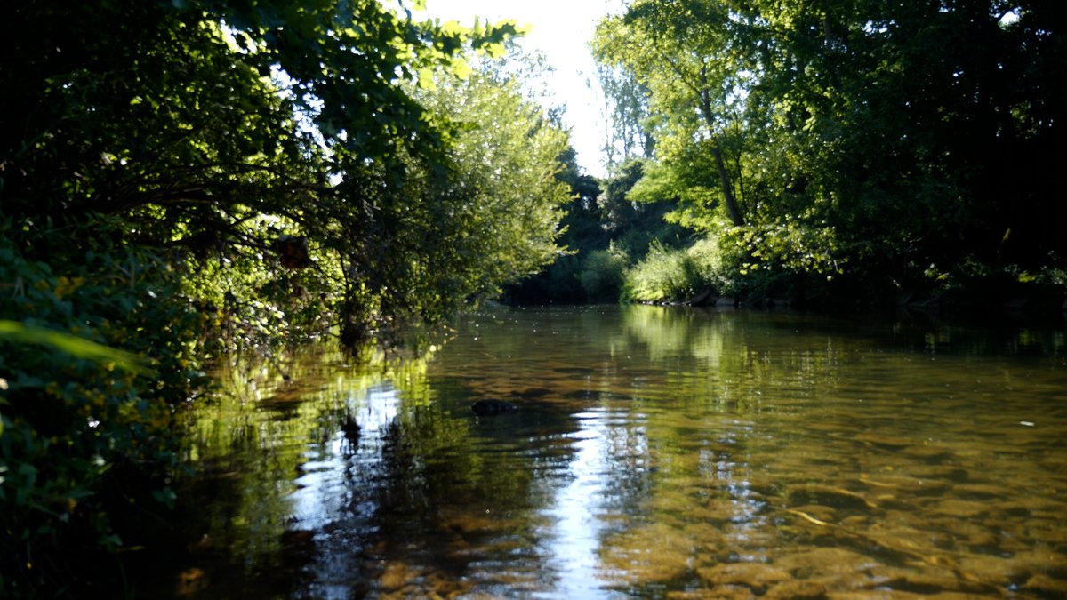 FishingScarna's tweet photo. Nouvelle vidéo Scarna Fishing ! Aujourd'hui session Ultra Light sur non pas une, mais deux rivières paumées en pleine campagne. En fouillant un peu, on va avoir droit à plusieurs grosses surprises ! A voir ici : https://t.co/xErrDYsIOh
.
#pêche #scarnafishing https://t.co/TGs7eHT8el