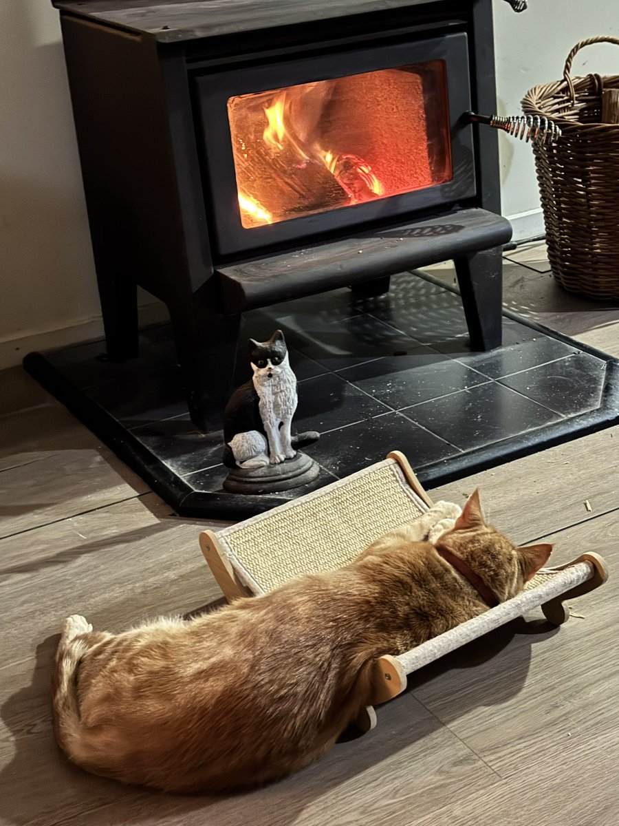 Fires on furpals! 🔥