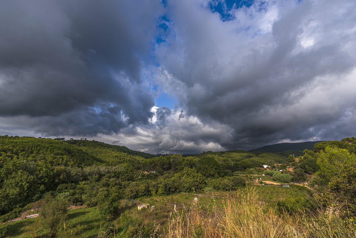 Xavi Navas (@santquintimeteo) on Twitter photo Bon dia, ullades de sol amb núvols baixos aquest matí a les 9.30h, mínima de 19.6º. #eltemps3cat <a href="/Vakapiupiuu/">Nieldelamar</a> <a href="/eltempsTV3/">El temps</a> <a href="/eixdiari/">Eix Diari</a> <a href="/meteocat/">Meteocat</a> <a href="/meteorac1/">Meteorologia RAC1</a> <a href="/alcantara_alb/">Alberto Alcántara</a> <a href="/btveltemps/">btv el temps</a> <a href="/SoniaPapell/">Sònia Papell</a> <a href="/SergiLoras/">Sergi Loras</a> <a href="/Meteomaxima/">Luismi Pérez</a> <a href="/tempsdemeteo/">Temps de Méteo</a> <a href="/MeteoPenedesTV/">Meteo☀️RTVVilafranca</a> <a href="/IsaacVila9/">Isaac Vilà Batista</a> Bon dia, ullades de sol amb núvols baixos aquest matí a les 9.30h, mínima de 19.6º. #eltemps3cat <a href="/Vakapiupiuu/">Nieldelamar</a> <a href="/eltempsTV3/">El temps</a> <a href="/eixdiari/">Eix Diari</a> <a href="/meteocat/">Meteocat</a> <a href="/meteorac1/">Meteorologia RAC1</a> <a href="/alcantara_alb/">Alberto Alcántara</a> <a href="/btveltemps/">btv el temps</a> <a href="/SoniaPapell/">Sònia Papell</a> <a href="/SergiLoras/">Sergi Loras</a> <a href="/Meteomaxima/">Luismi Pérez</a> <a href="/tempsdemeteo/">Temps de Méteo</a> <a href="/MeteoPenedesTV/">Meteo☀️RTVVilafranca</a> <a href="/IsaacVila9/">Isaac Vilà Batista</a>