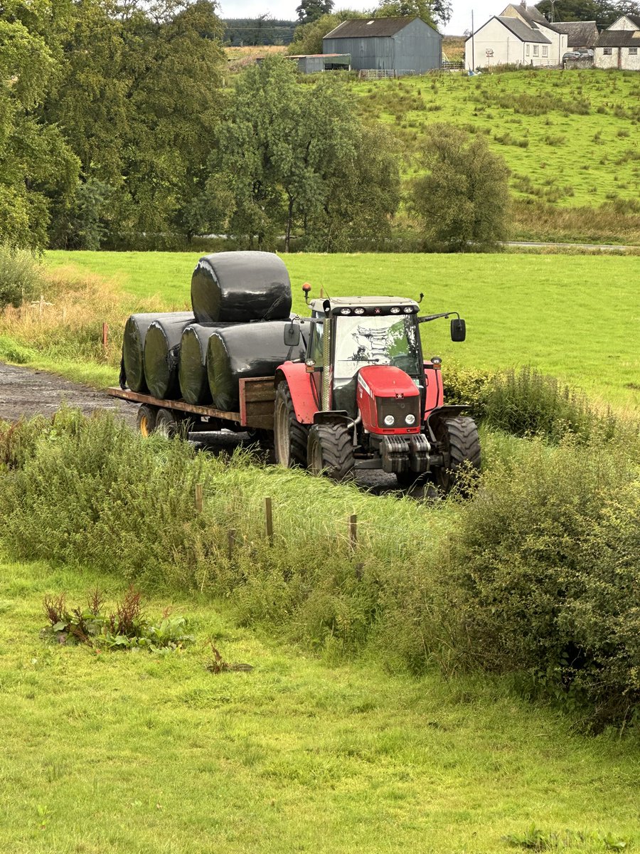 #silage25 continues