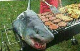 BarneySimon's tweet photo. Waar bly die Sharks? https://t.co/gMdKF899yi