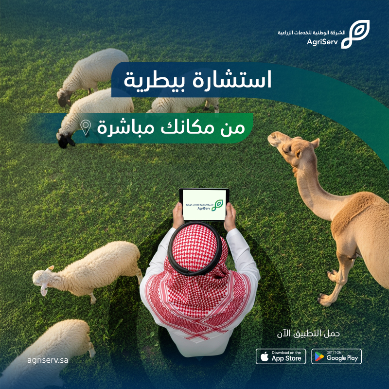 AgriServ_sa's tweet photo. من جوالك، تقدر تطمّن على صحة حلالك،
استشر طبيبك البيطري وأنت بمكانك، بجودة عالية وخدمات موثوقة.
حمل التطبيق وابدأ الاستشارة.