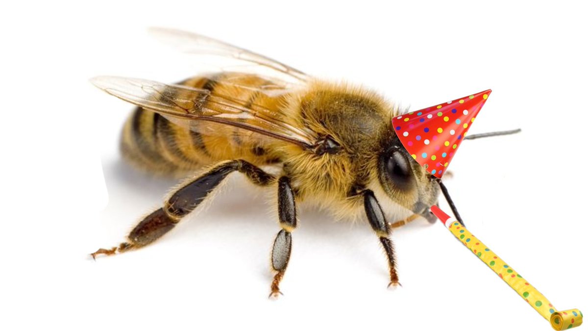 12,000 angry bees tweet media