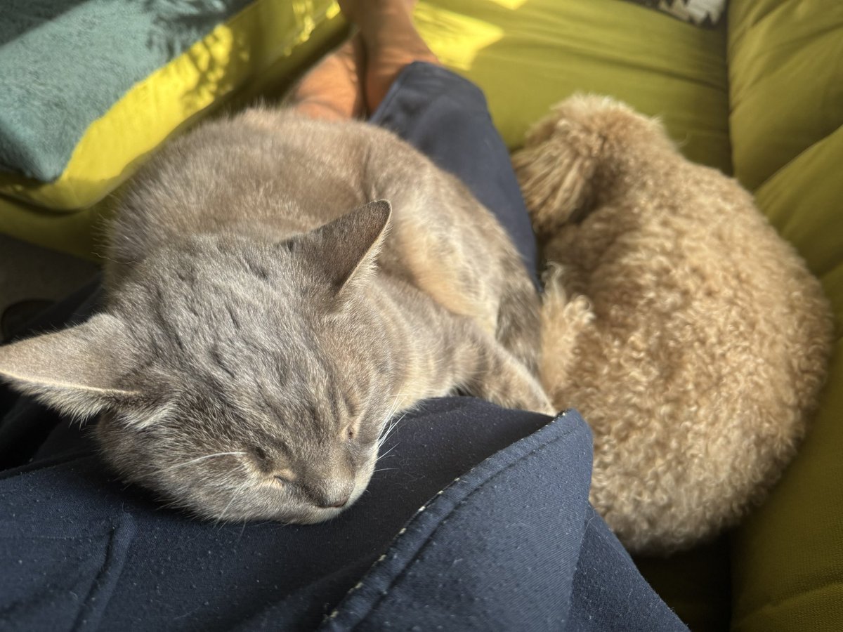 Sunday mornings… 🥰