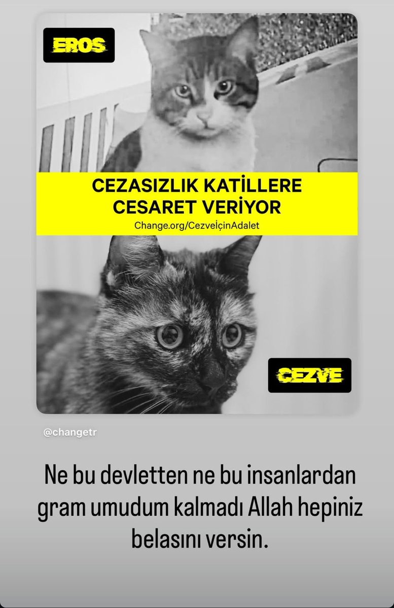 GuzelPatiler's tweet photo. https://t.co/CSBAm5X04q