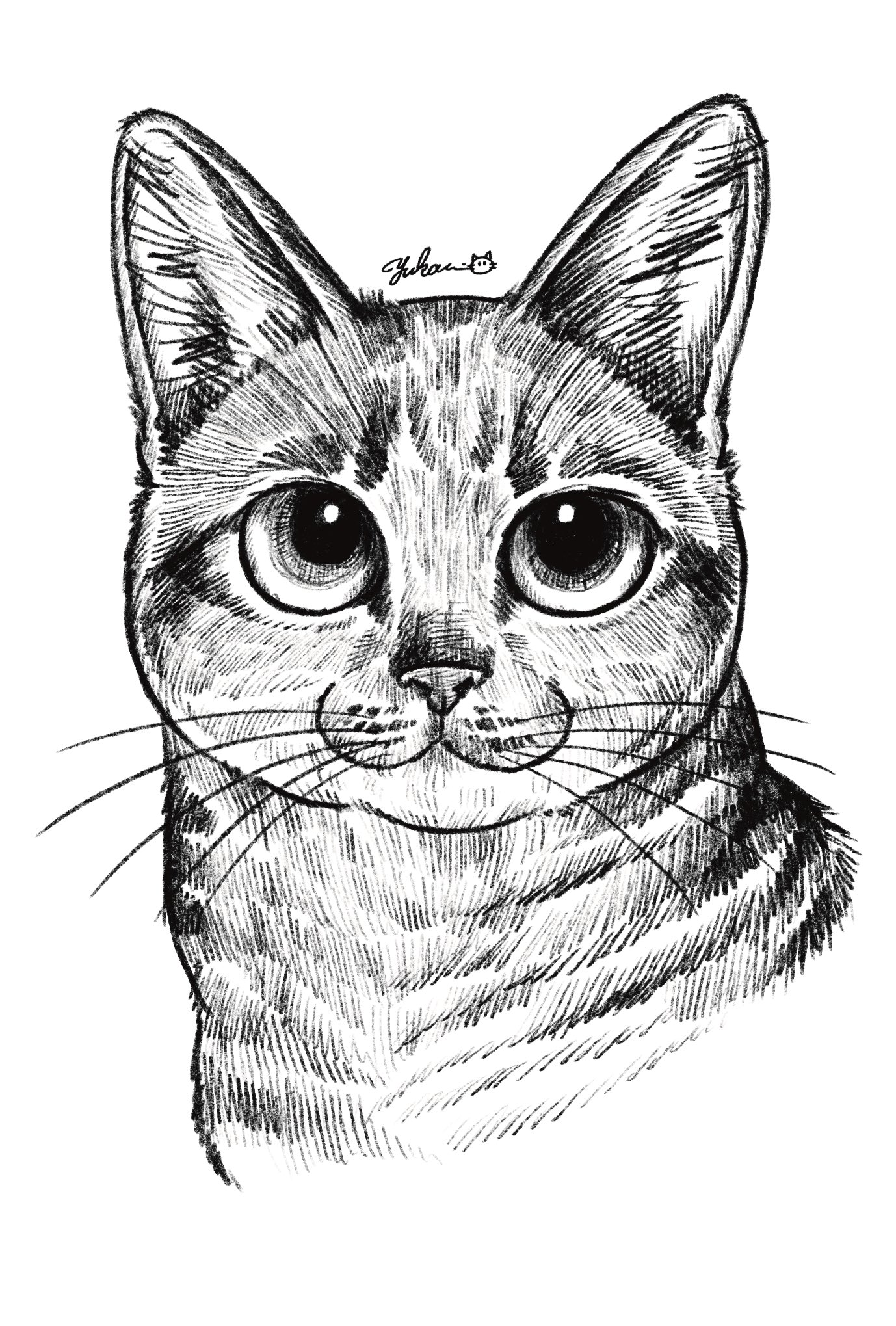 龍に導かれ　猫　絵　イラスト Yukari on X: 
