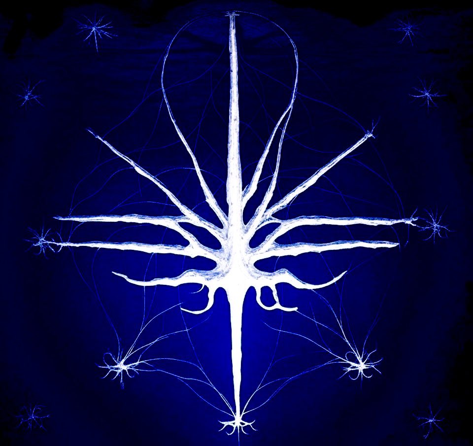 wwwdidimx's tweet image. GM