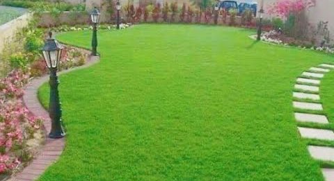 اسرار لا احد يقلك عليها ‼️

عندما تقرر تسوي حديقة لبيتك لا تغامر يوضع النجيله حتى تعرف حجم كلفة صيانتها لاحقاً 

ترى تأسيسها رخيص لكن مصروفها الشهري حتى تبقى خضراء اكبر من تأسيسها 
تكلفة هدر المياة عااااااالي جداً 
اذا زرعتها وحولها اشجار ستعاني معاناة قوية 
تقزم امراض فقر فطريات