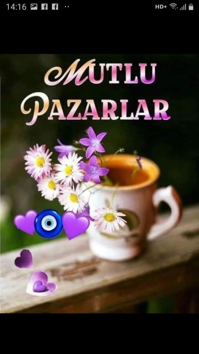 güldeniz (@gldeniz1183518) on Twitter photo 