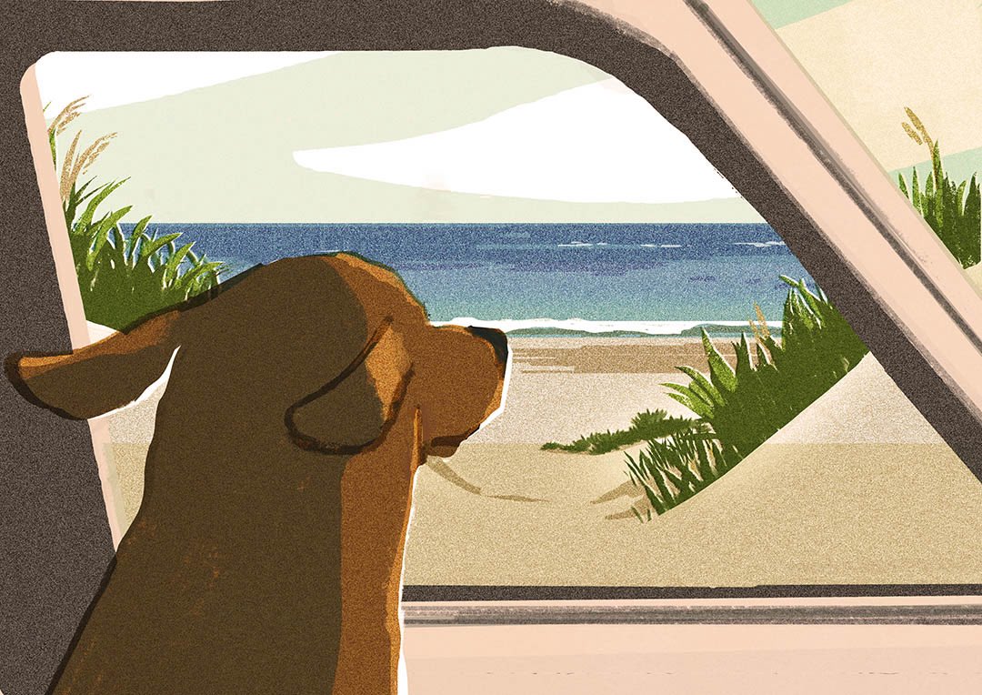 KyokoNemoto's tweet photo. Sea breezeโจ๐
Instagram โฌ๏ธ
https://t.co/qduTySq9Gg
#ใคใฉในใ #็ฌใฎใคใฉในใ #drivingwithdogs #summerbeach #illustrator https://t.co/RFxFSu07wT