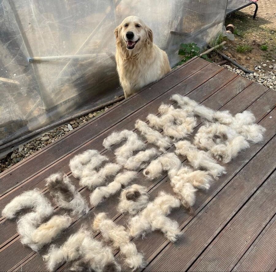 고성능영업머신 하길 (@_onealways) on Twitter photo 