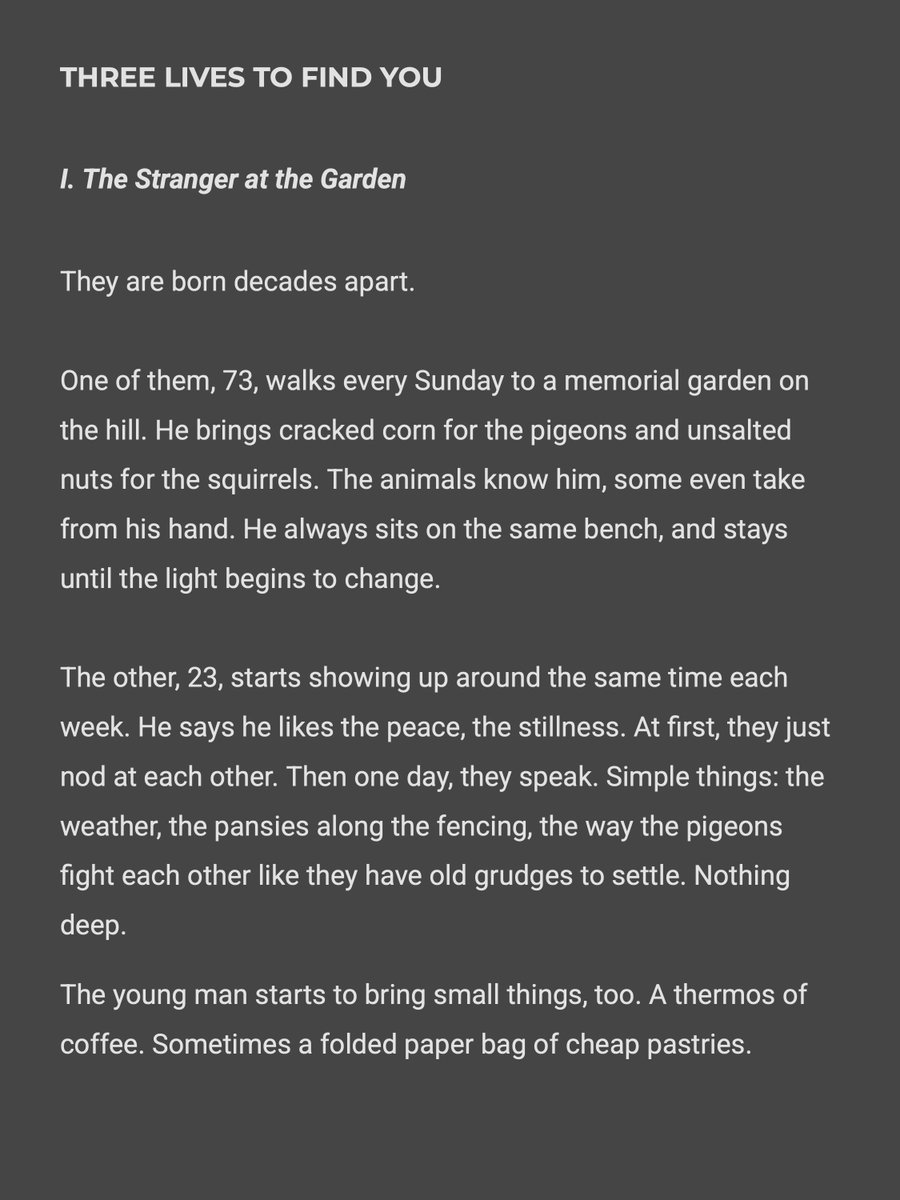 Elio 🏝️ tweet media