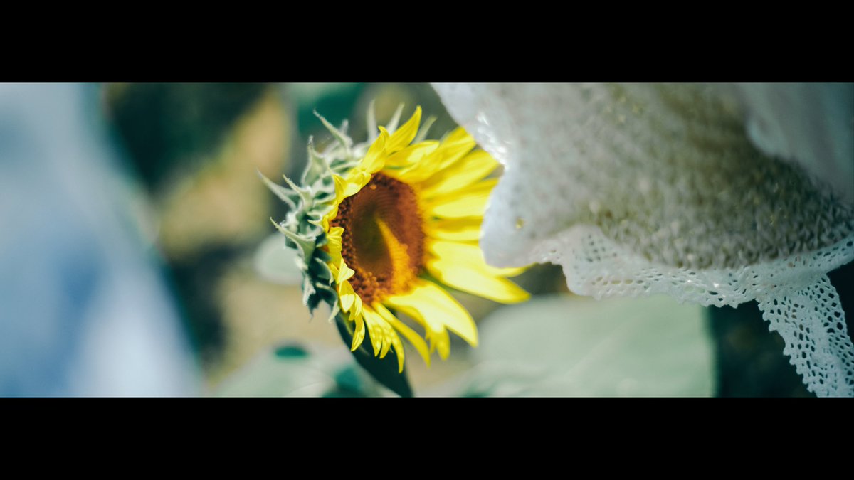 璃穏 (@00rio0921) on Twitter photo 